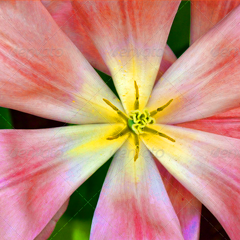 ddos攻击器安卓ios下载