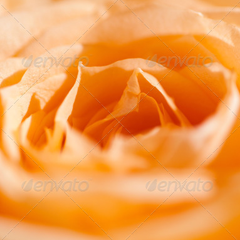 DDOS在线攻击平台