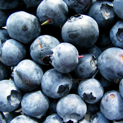 ddos攻击测试工具