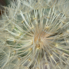 ddos攻击器安卓ios下载