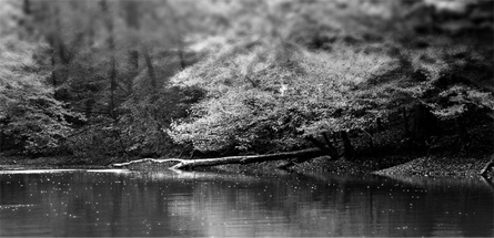 破解补丁版的网络ddos监测分析工具